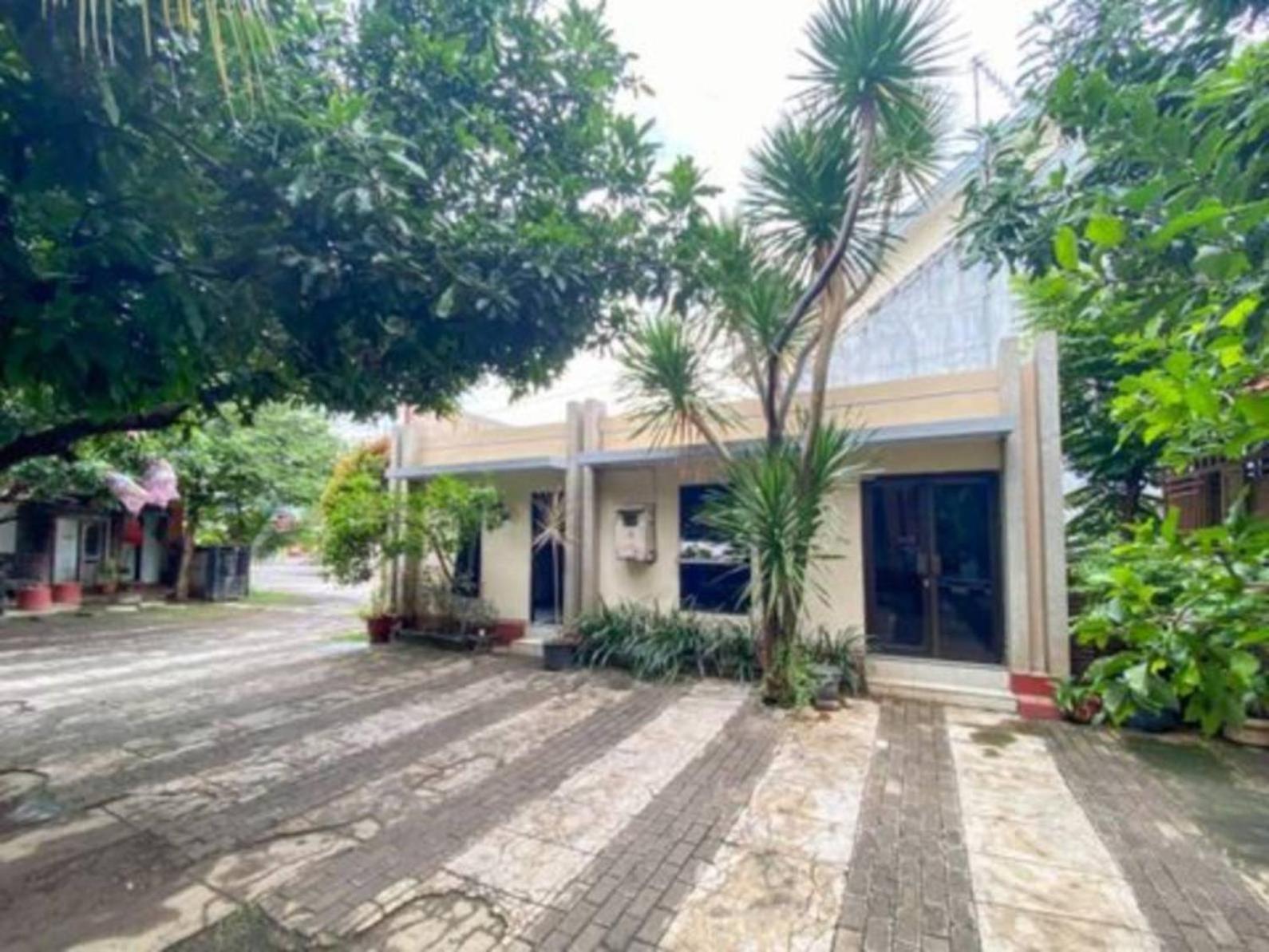 פרובולינגו Surya Guest House מראה חיצוני תמונה
