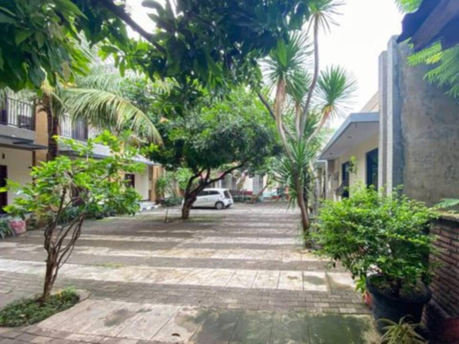 פרובולינגו Surya Guest House מראה חיצוני תמונה