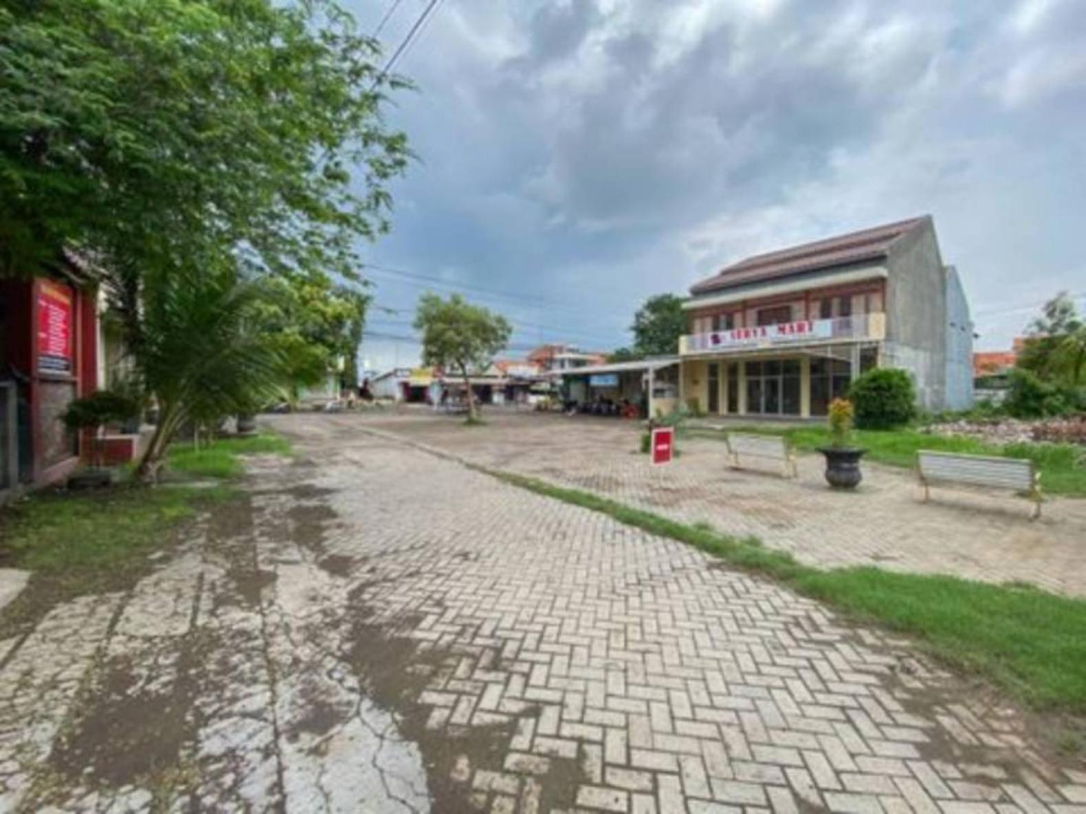 פרובולינגו Surya Guest House מראה חיצוני תמונה